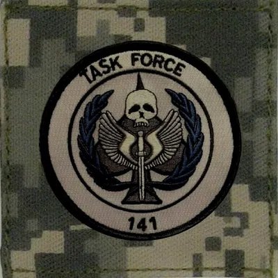 Task force 141