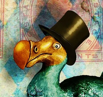 Mr. Smart Dodo