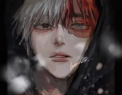 Shoto Todoroki 