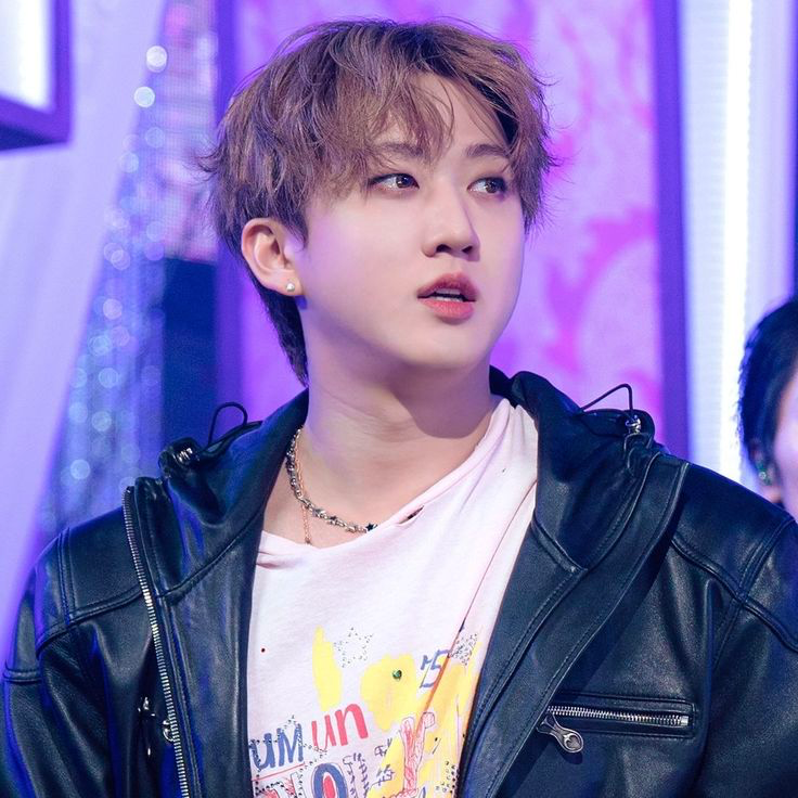 SEO CHANGBIN - PIG HYBRID