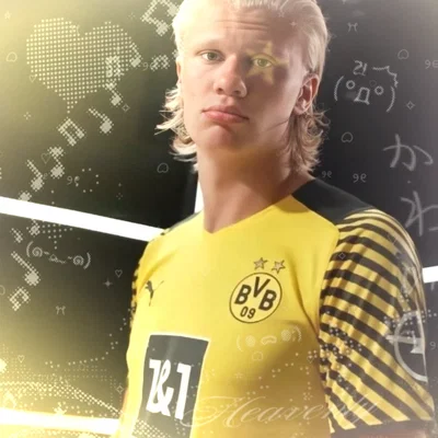 𐔌 𑣲 Erling Haaland ೄྀ +˖ ꒱