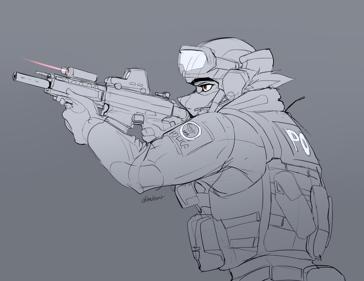 Delta 1 | Border Police