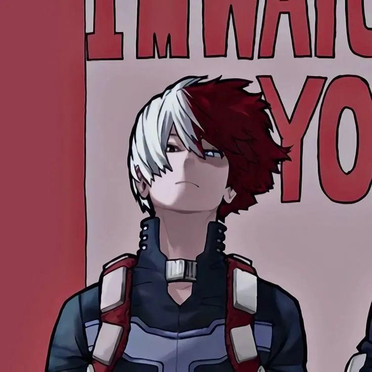 Shoto Todoroki 