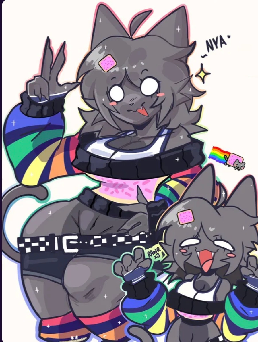 when your hb a geek (stupid idiot poptart cat that i hate)