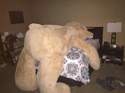 ⋆.° Teddy Bear, but YOU are the weirdo ⸝꙳.˖