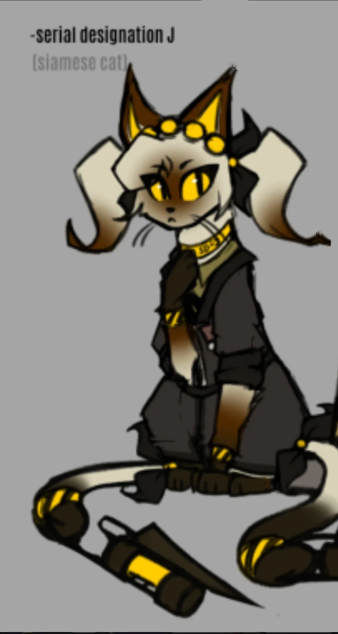 J Siamese cat || animal AU