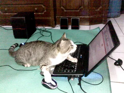 Hacking test