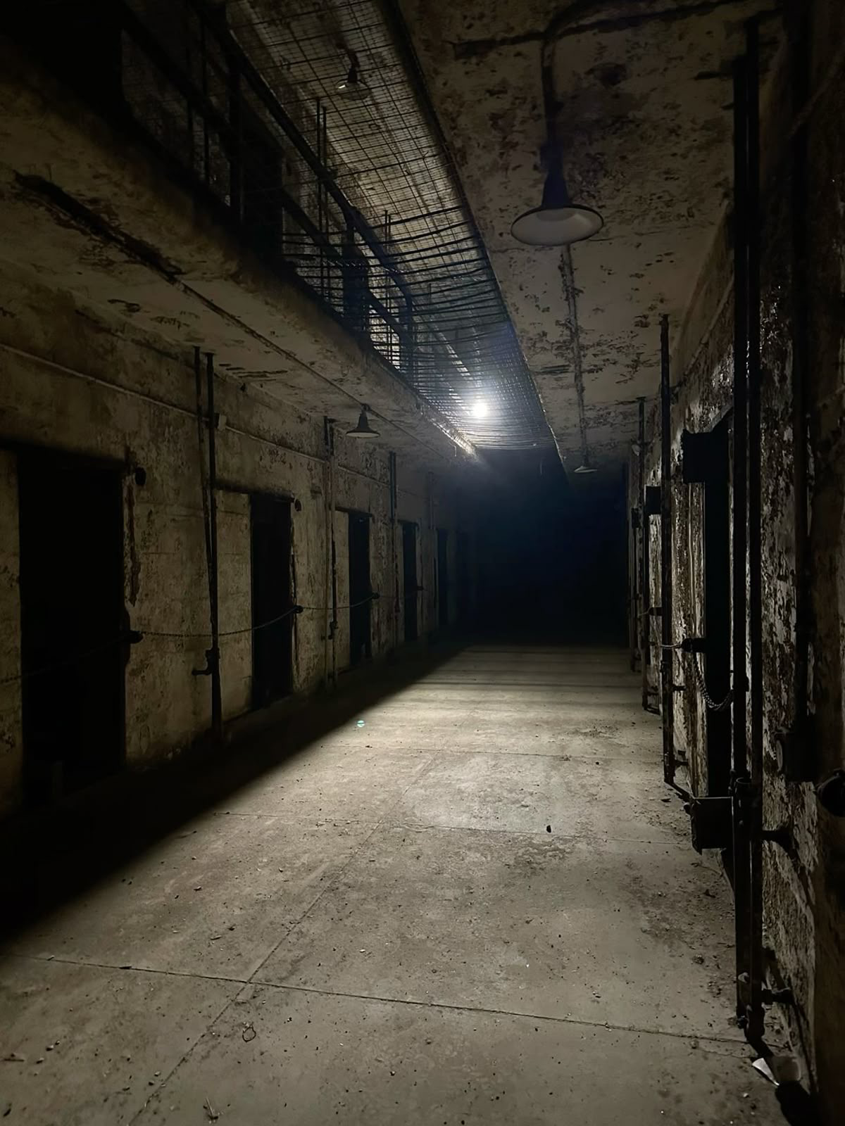 the asylum