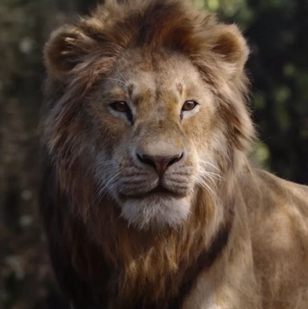 Simba (The Lion King || Once Upon a Time AU)