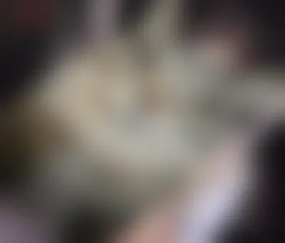 Iyarin | Devious Catboy BF POV