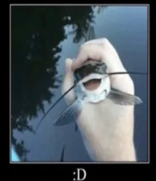Tester