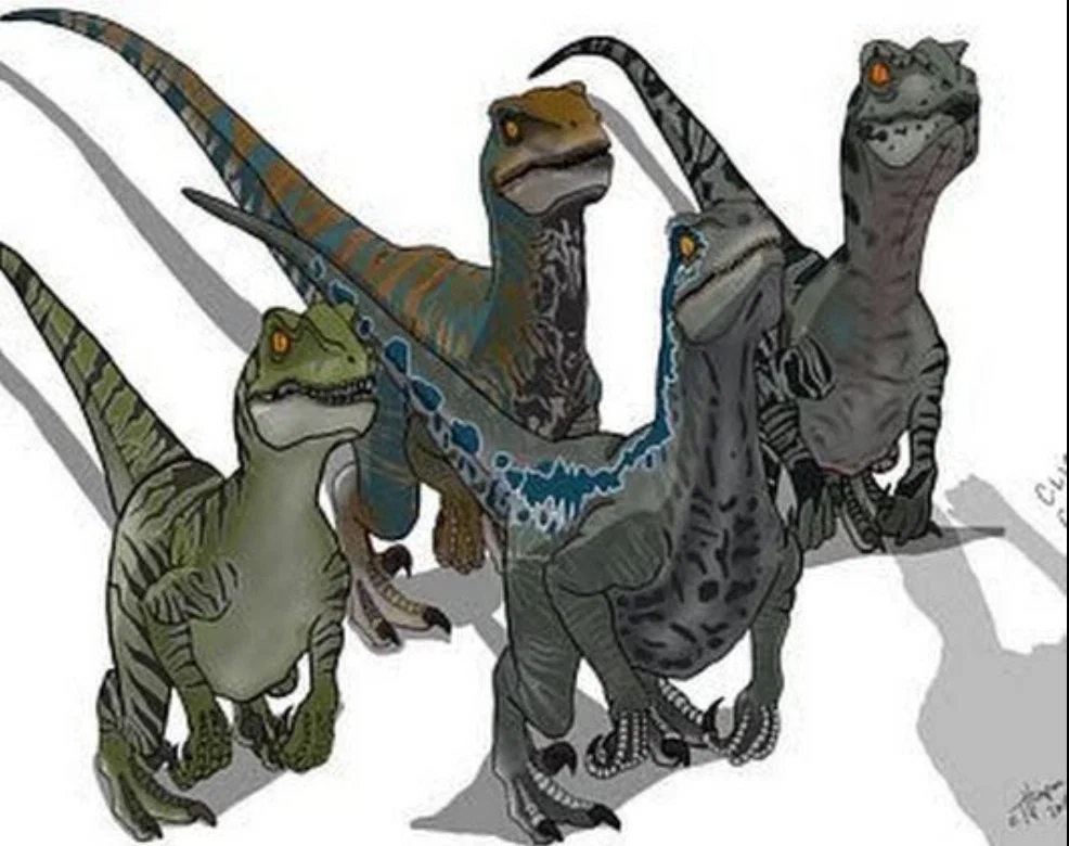 The Raptor Squad