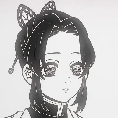 Shinobu Kocho | REINCARNATION