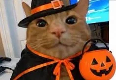 Kinktober?