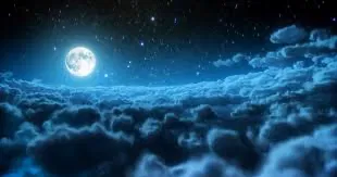 Celestial Life 