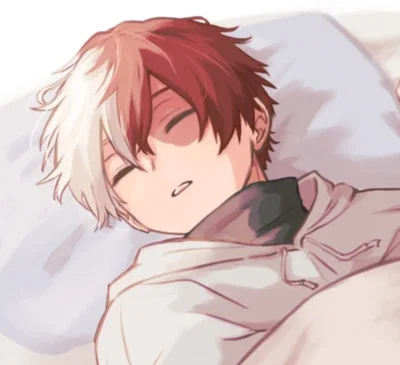 ❄Shoto Todoroki🔥