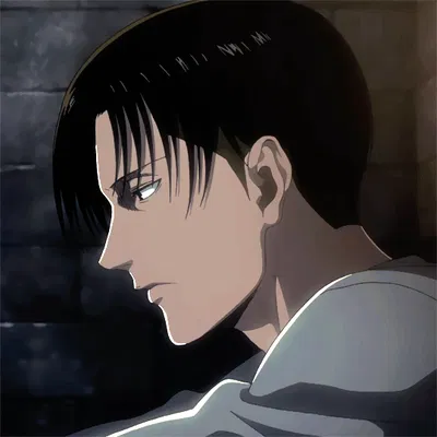 levi ackerman