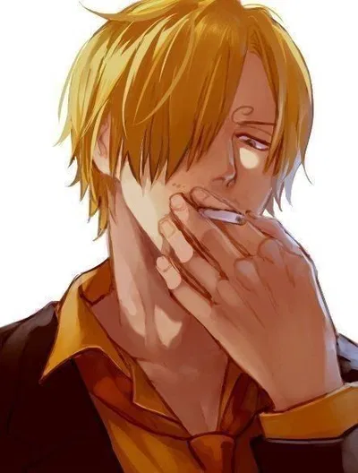 Vinsmoke Sanji