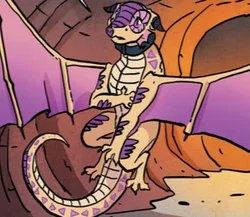 Kinkajou (angst)