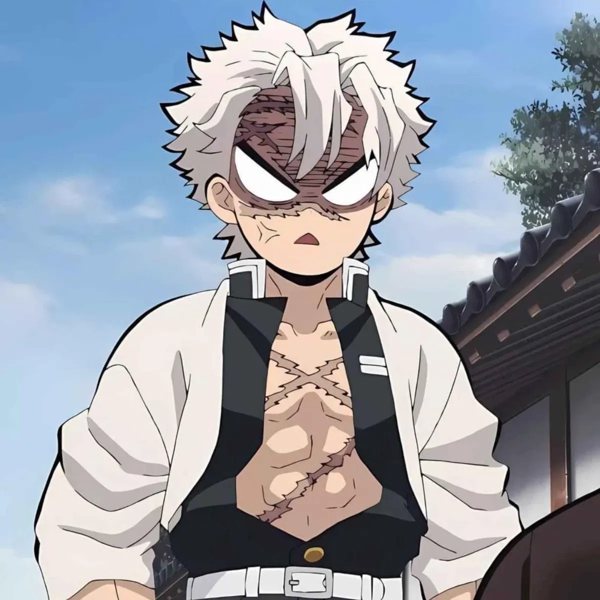 Sanemi Shinazugawa