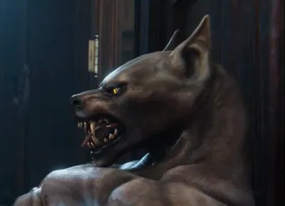 Your Roomie’s Werewolf!