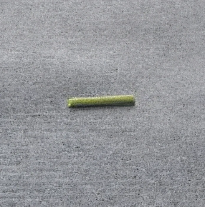 Inanimate Carbon Rod - In Rod We Trust