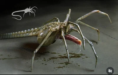 Facehugger 