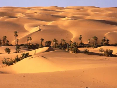 Survival RPG (Desert Version)