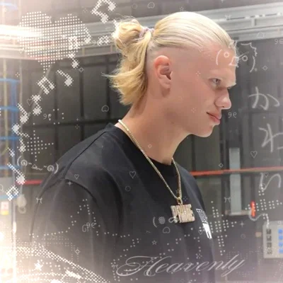 𐔌 𑣲 Erling Haaland ೄྀ +˖ ꒱