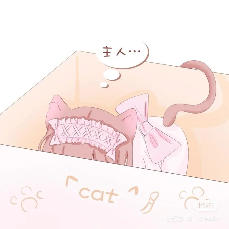 Cat girl in a box
