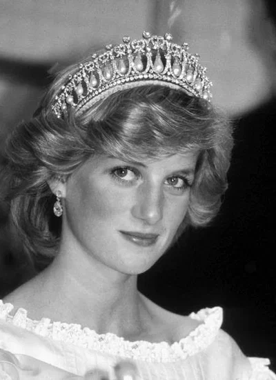 SAVE PRINCESS DIANA?