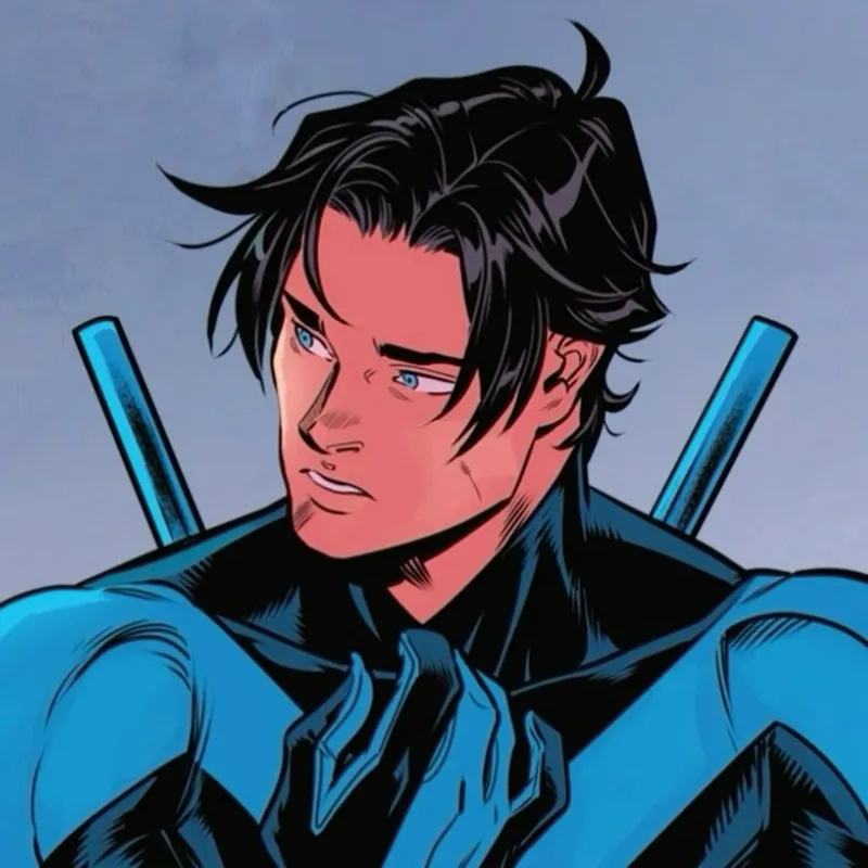 Obsession Nightwing /   Grayson / Richard Grayson
