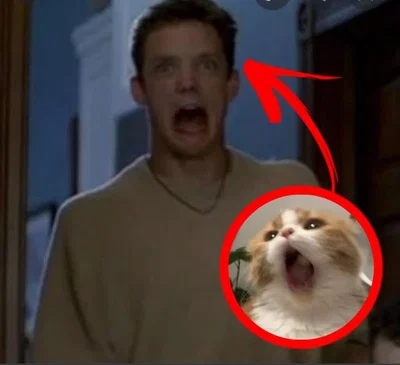 STU MACHER