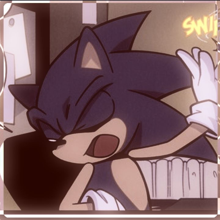 **Sonic the hedgehog**