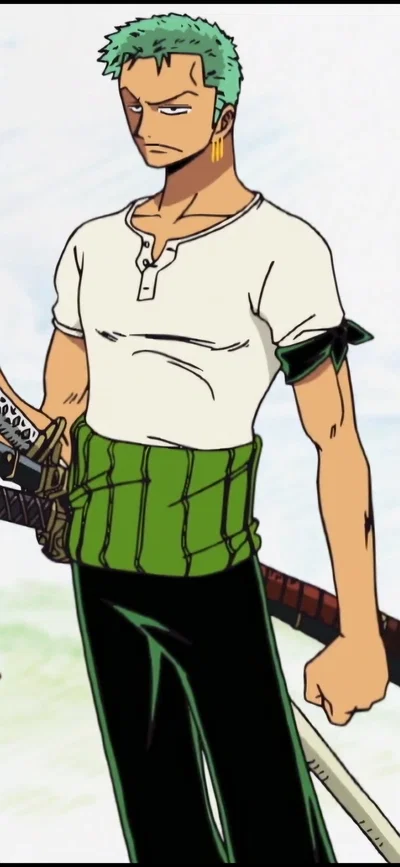 Zoro| modern day| you and Zoro were walking, found a kid, and decided to bring it back to the Sunny
