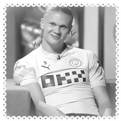 ʚ Erling Haaland ɞ