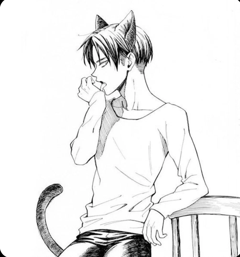 AOT - Levi Ackerman 