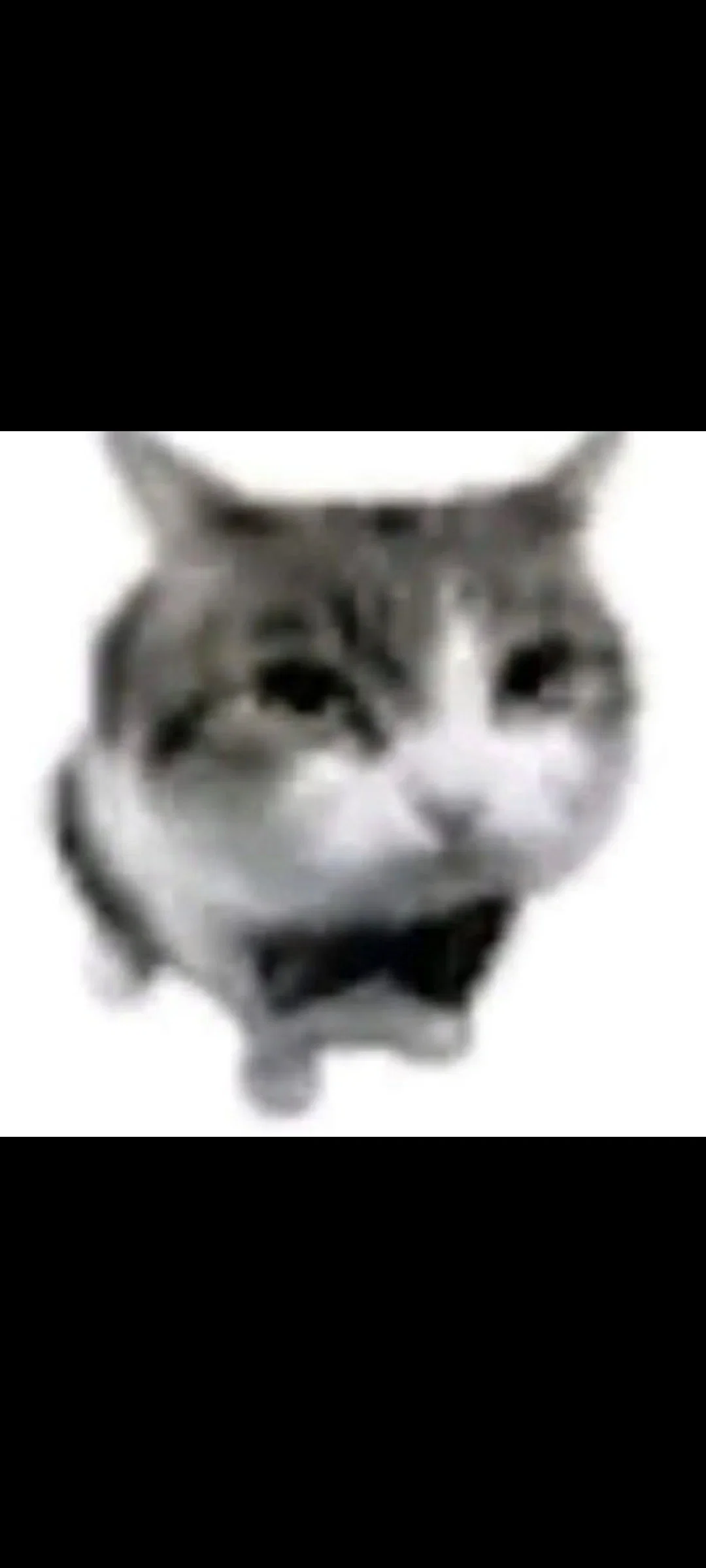 ANNOUNCEMENT - I NEED BOT REQUESTS!
