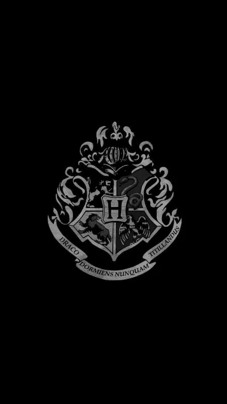 Hogwarts • they think you are threat