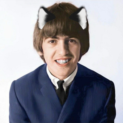 George Harrison but he’s a... cat?