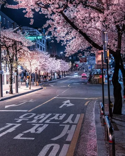 🌃South Korea Rpg🌃