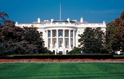 USA Election RPG