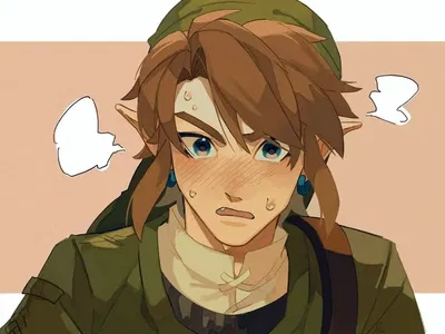 Link | Twilight Princess