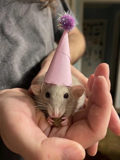 birthdayy :3