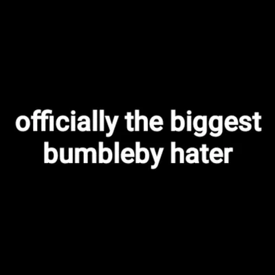 Once again, I come to speak of my insurmountable hatred for BMBLB