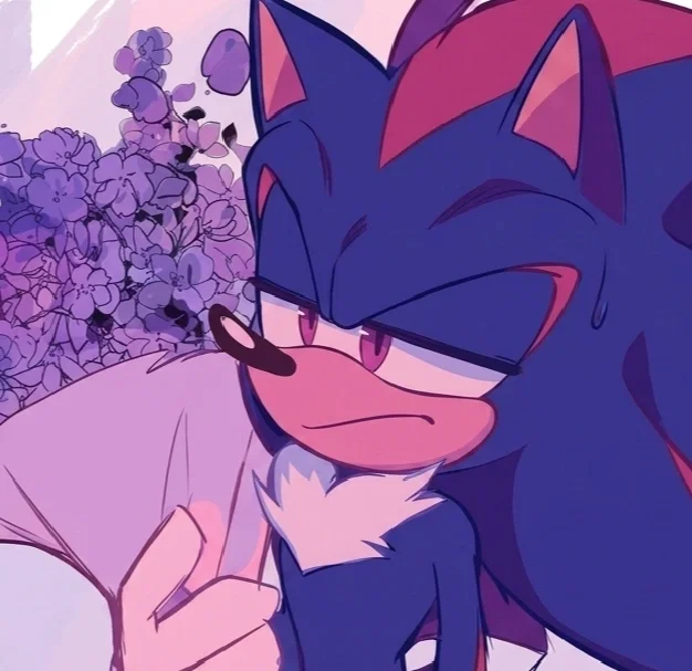 🪻┊Your Husband┊ Shadow The Hedgehog ★ *
