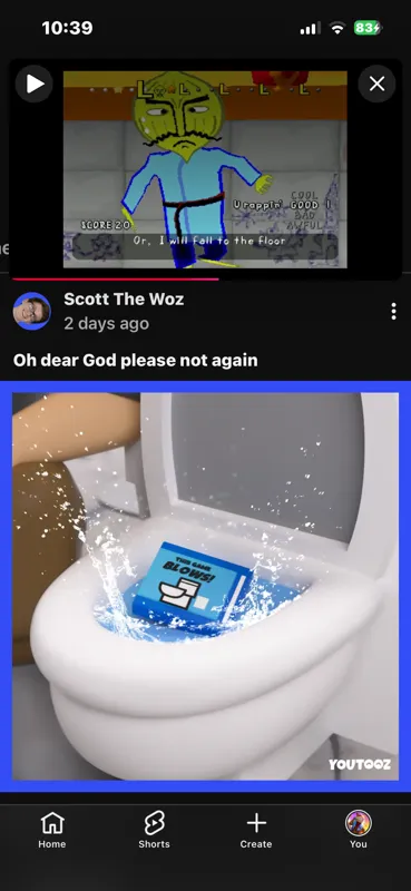 What is this supposed to be?