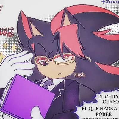 Shadow The Hedgehog