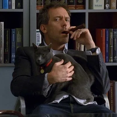 Doctor Gregory House 