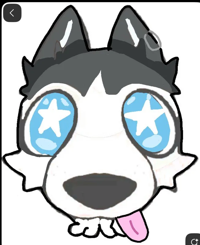 Musky husky sock TF